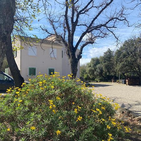 U Farniente Hotel Patrimonio Bagian luar foto